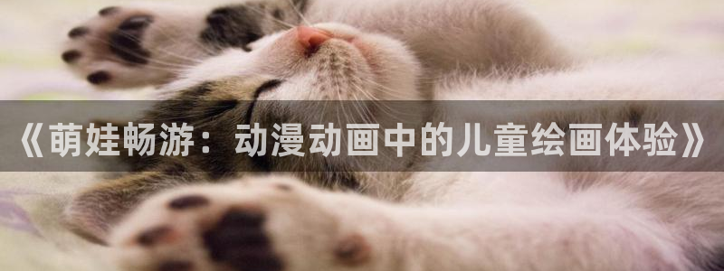 囧次元下载安装